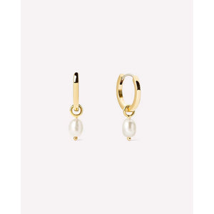 Lustrous Silver 18K Gold Plated Earrings - UNJELLIC